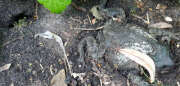 Thumbnail 354126 A