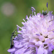 Thumbnail 354138 B