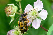 Thumbnail 354706 B