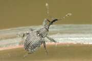 Thumbnail 355031 B
