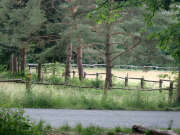 Thumbnail 355071 B