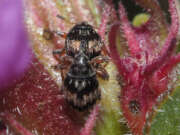 Thumbnail 355123 B