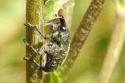 Thumbnail 355128 B