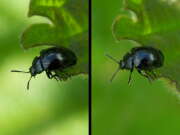 Thumbnail 355410 B