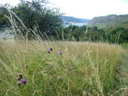 Thumbnail 356073 B