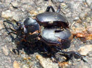 Thumbnail 356077 B