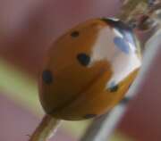 Thumbnail 356911 B