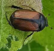 Thumbnail 357078 B