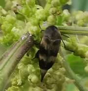Thumbnail 357089 B