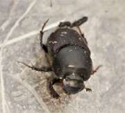 Thumbnail 357305 B