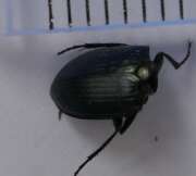 Thumbnail 357536 B
