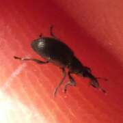 Thumbnail 357543 B