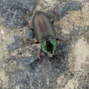 Thumbnail 357562 B