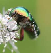 Thumbnail 357611 B