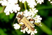 Thumbnail 357634 B
