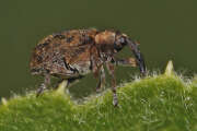 Thumbnail 357670 B