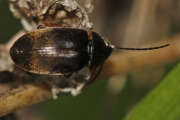 Thumbnail 357689 B