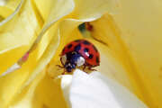 Thumbnail 357710 B