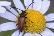 Thumbnail 357749 B