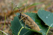 Thumbnail 357754 B