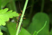 Thumbnail 357759 B