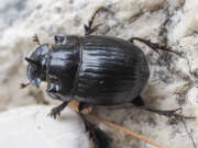 Thumbnail 357827 B
