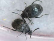 Thumbnail 358440 B