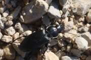 Thumbnail 358547 B