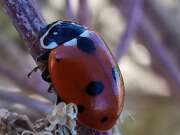 Thumbnail 358622 B