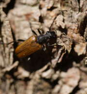 Thumbnail 359094 B