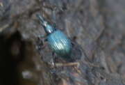 Thumbnail 359122 B