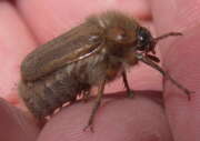 Thumbnail 359128 B