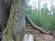 Thumbnail 359191 B