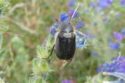 Thumbnail 359400 B