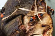 Thumbnail 359518 B
