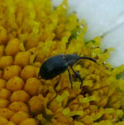 Thumbnail 359616 B