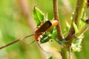 Thumbnail 359640 B