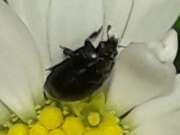 Thumbnail 359985 B