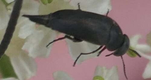 Userfoto
