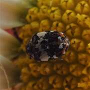 Thumbnail 360128 B