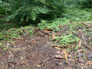 Thumbnail 360147 B