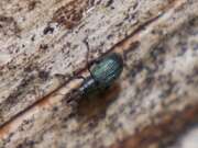 Thumbnail 360947 B