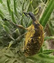 Thumbnail 361042 B