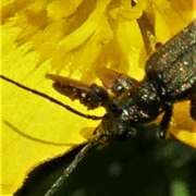Thumbnail 361297 B