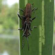 Thumbnail 361359 B