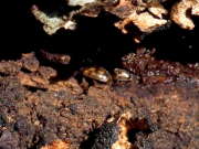 Thumbnail 361606 A