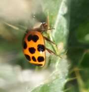 Thumbnail 361959 B
