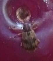 Thumbnail 361966 B