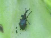 Thumbnail 362092 B