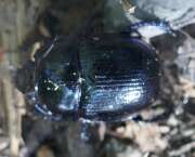 Thumbnail 362480 B